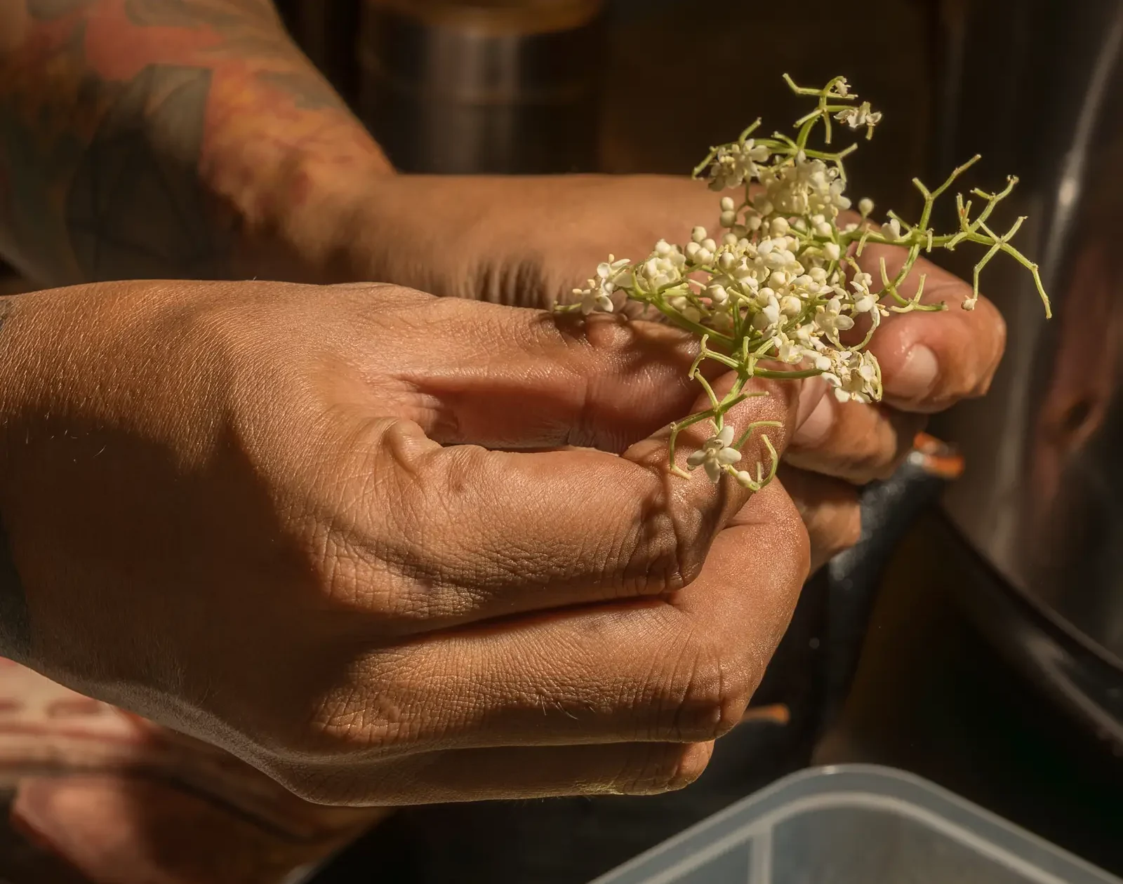 Japanese Culinary Experiences in Ubud Discover Authentic Dining and Cultural Insights